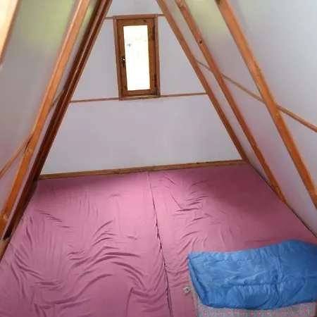 - U Nas Doma * Orličky