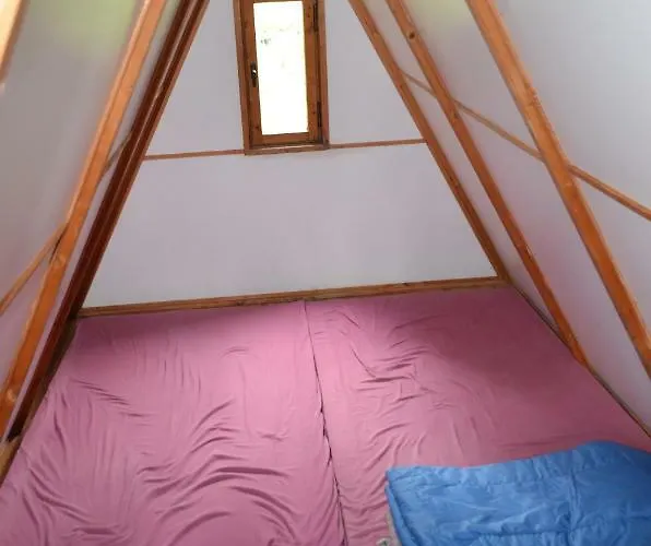 - U Nas Doma * Orličky